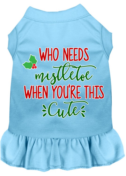 Who Needs Mistletoe Screen Print Dog Dress Baby Blue Sm